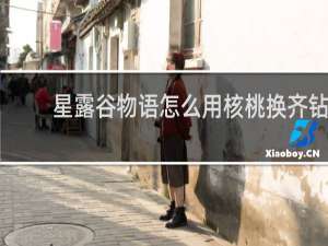 星露谷物语怎么用核桃换齐钻