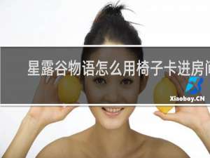 星露谷物语怎么用椅子卡进房间