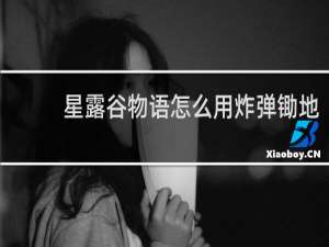 星露谷物语怎么用炸弹锄地