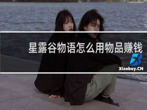 星露谷物语怎么用物品赚钱