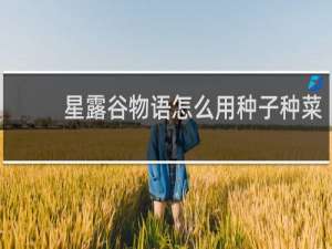 星露谷物语怎么用种子种菜