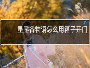 星露谷物语怎么用箱子开门