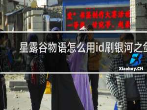 星露谷物语怎么用id刷银河之剑