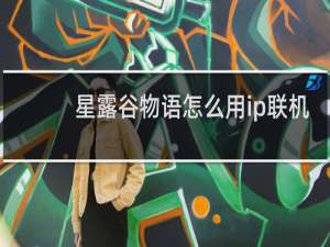 星露谷物语怎么用ip联机