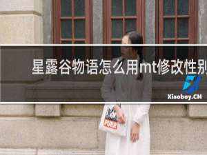 星露谷物语怎么用mt修改性别