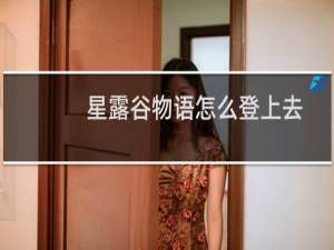 星露谷物语怎么登上去