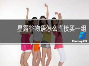 星露谷物语怎么直接买一组