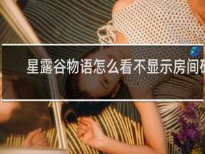 星露谷物语怎么看不显示房间码