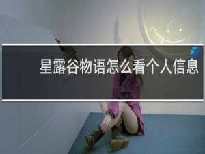 星露谷物语怎么看个人信息