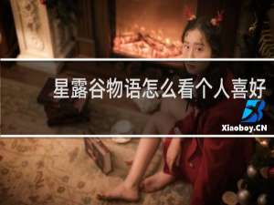 星露谷物语怎么看个人喜好