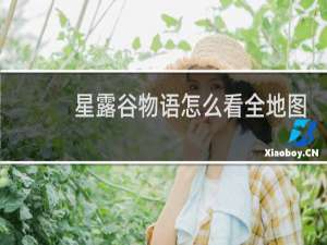 星露谷物语怎么看全地图