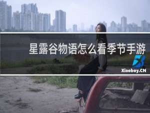 星露谷物语怎么看季节手游