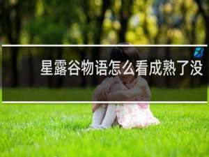 星露谷物语怎么看成熟了没