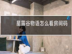 星露谷物语怎么看房间码