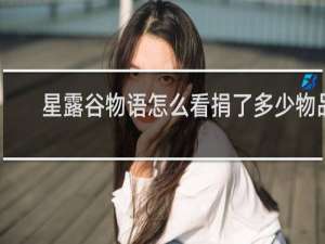 星露谷物语怎么看捐了多少物品