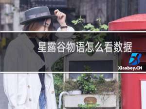 星露谷物语怎么看数据