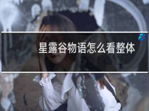 星露谷物语怎么看整体