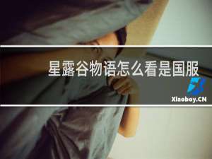 星露谷物语怎么看是国服