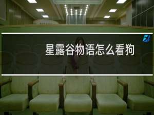星露谷物语怎么看狗