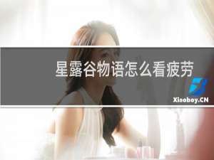 星露谷物语怎么看疲劳