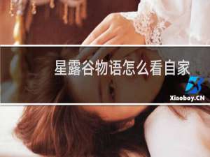 星露谷物语怎么看自家