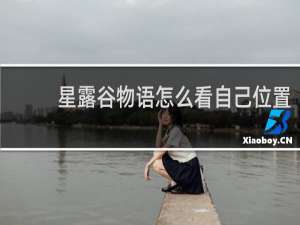 星露谷物语怎么看自己位置