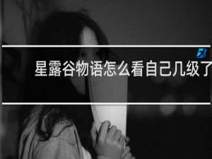 星露谷物语怎么看自己几级了