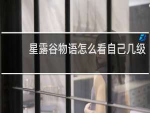 星露谷物语怎么看自己几级