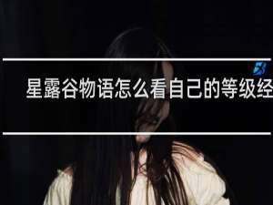星露谷物语怎么看自己的等级经验