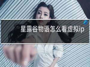 星露谷物语怎么看虚拟ip