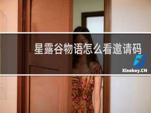 星露谷物语怎么看邀请码