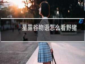 星露谷物语怎么看野猪