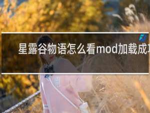 星露谷物语怎么看mod加载成功