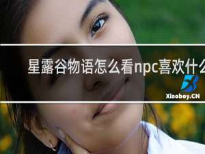 星露谷物语怎么看npc喜欢什么