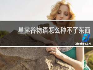 星露谷物语怎么种不了东西