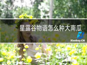 星露谷物语怎么种大南瓜