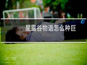 星露谷物语怎么种巨