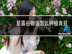 星露谷物语怎么种植青豆