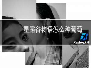 星露谷物语怎么种葡萄