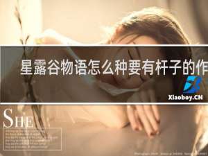 星露谷物语怎么种要有杆子的作物