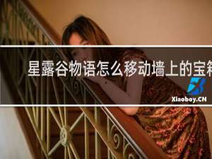 星露谷物语怎么移动墙上的宝箱