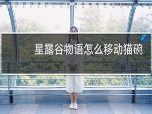 星露谷物语怎么移动猫碗