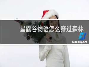 星露谷物语怎么穿过森林
