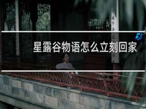 星露谷物语怎么立刻回家