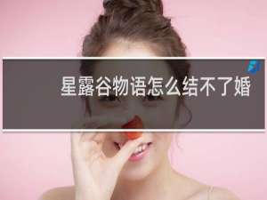星露谷物语怎么结不了婚