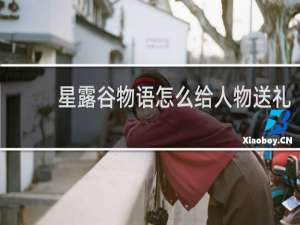 星露谷物语怎么给人物送礼