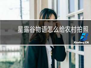 星露谷物语怎么给农村拍照