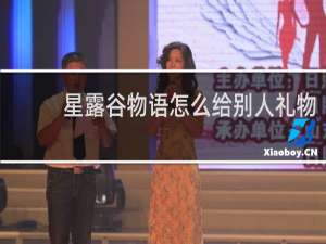 星露谷物语怎么给别人礼物