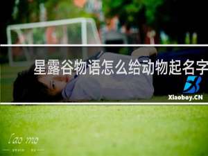 星露谷物语怎么给动物起名字