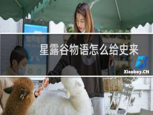 星露谷物语怎么给史来